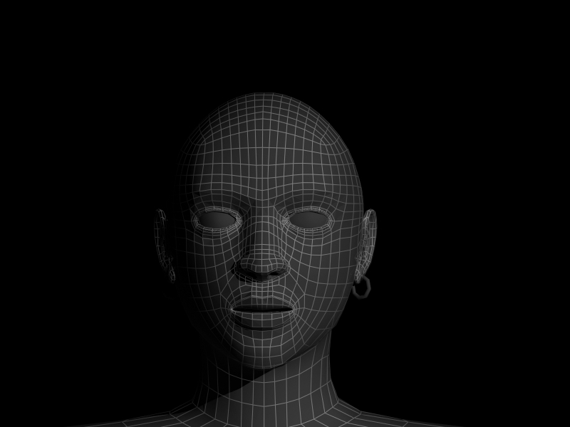 3D Head Study